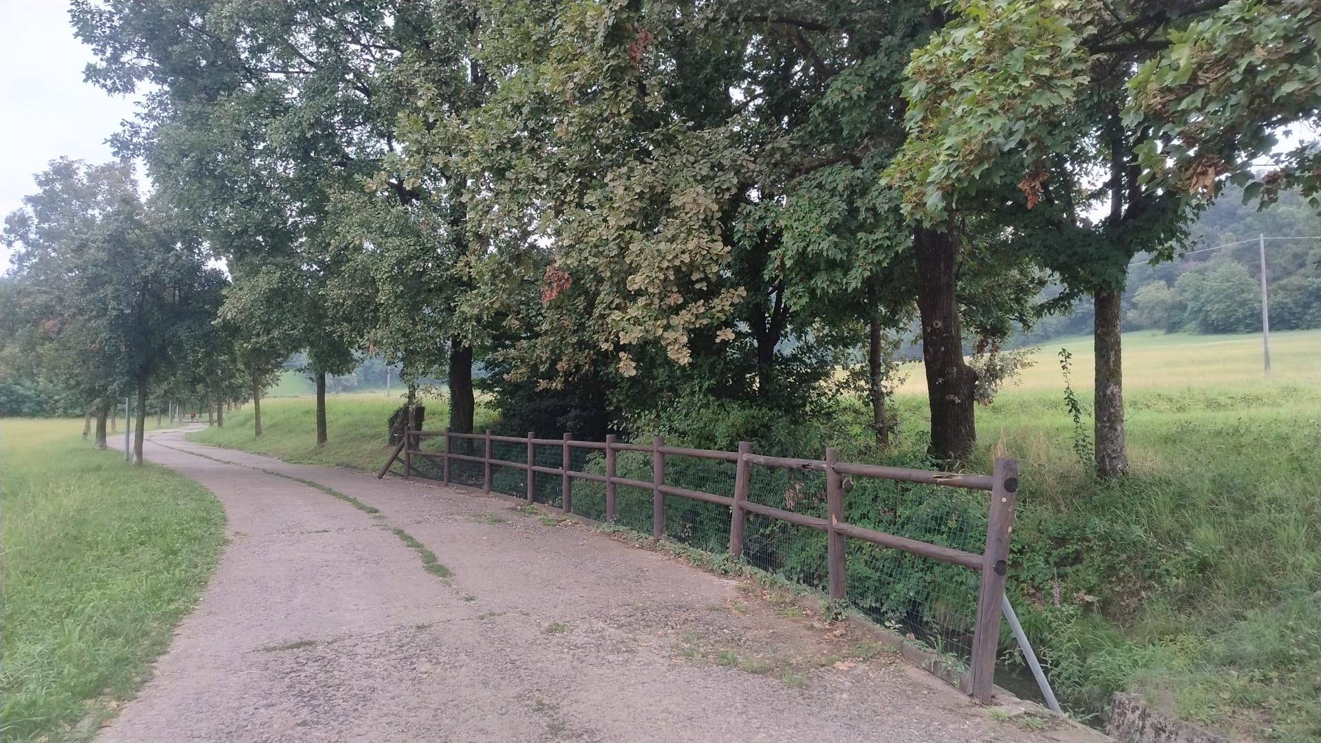 Immagine della segnalazione